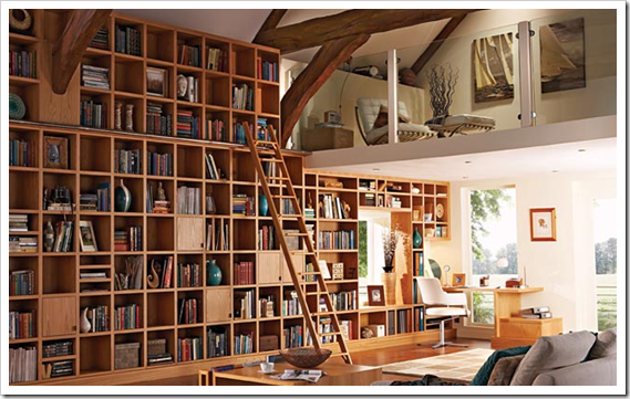 Restoration Hardware’s Stain Colour & my Bookshelf